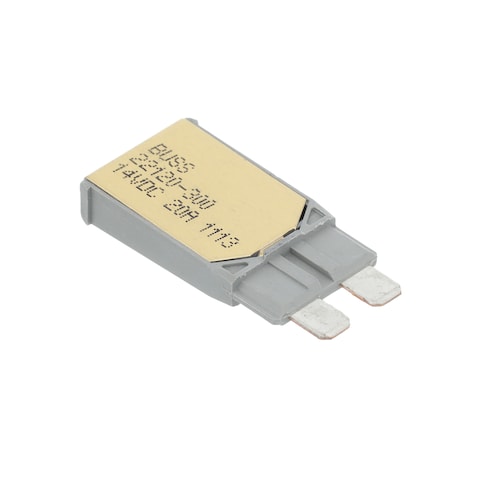 Bussmann / Eaton 22120-300